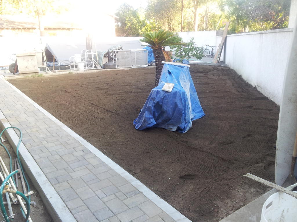 rear yard tilled1