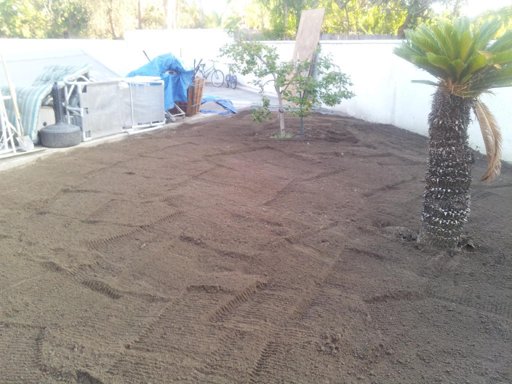 rear yard tilled2