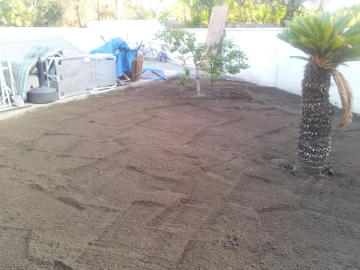 rear yard tilled2