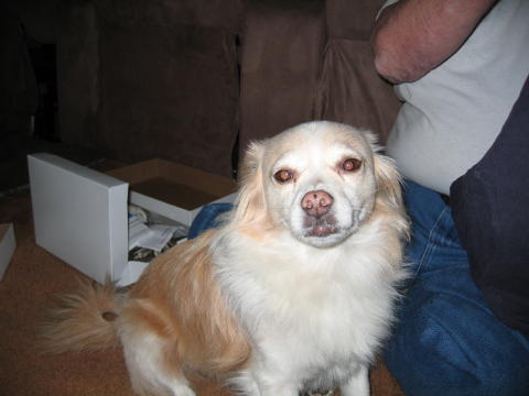 Christmasparty2006 055