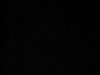 MVI_4145