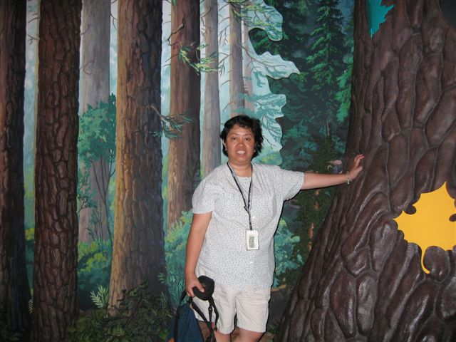 jamaicavacation2006 046