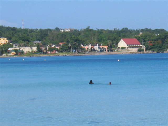 jamaicavacation2006 075
