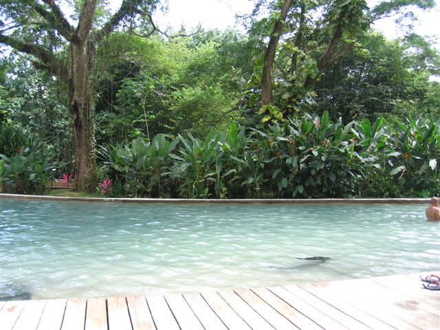 jamaicavacation2006 228